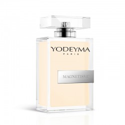 Magnétisme